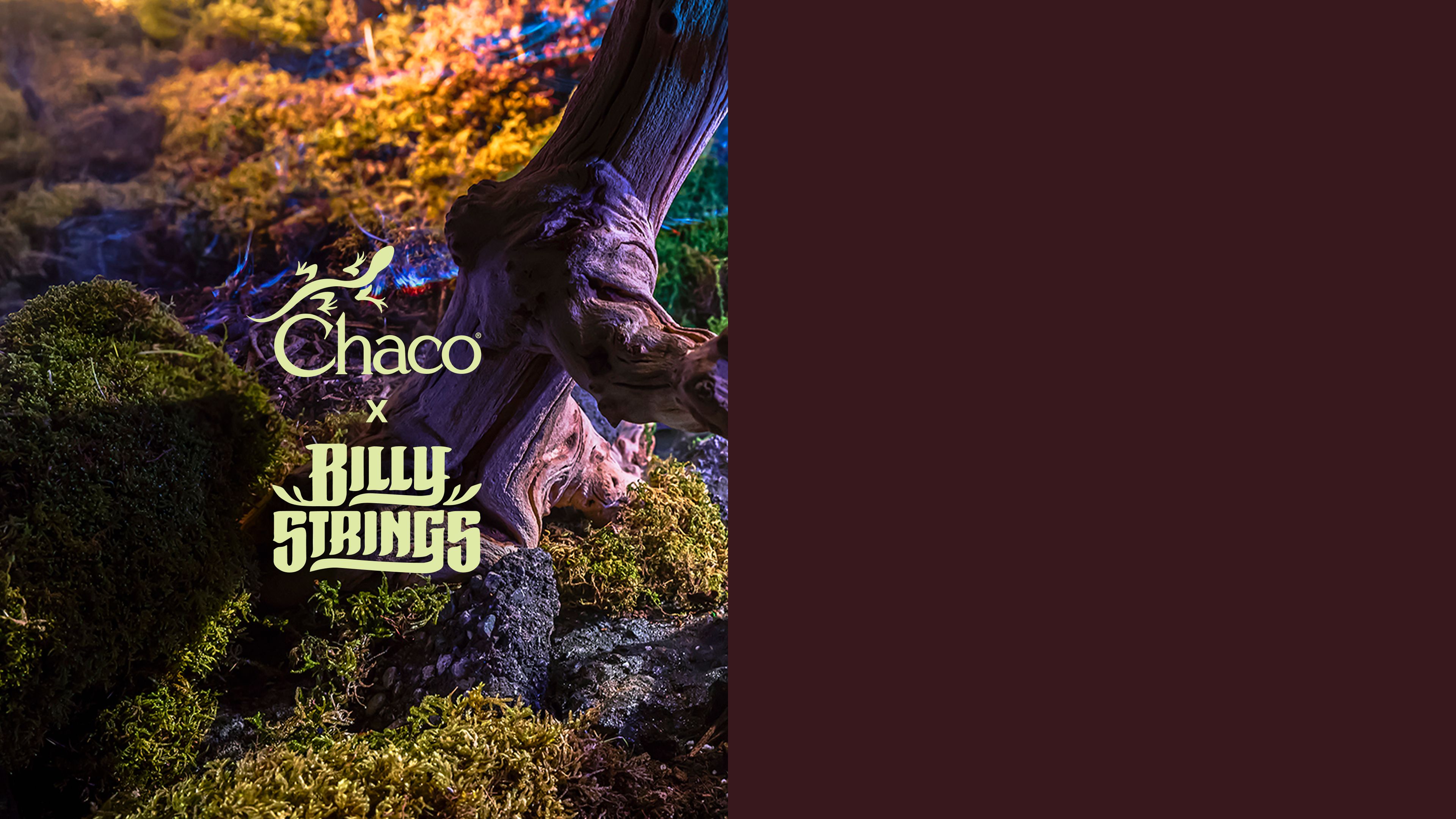 Chaco x Billy Strings