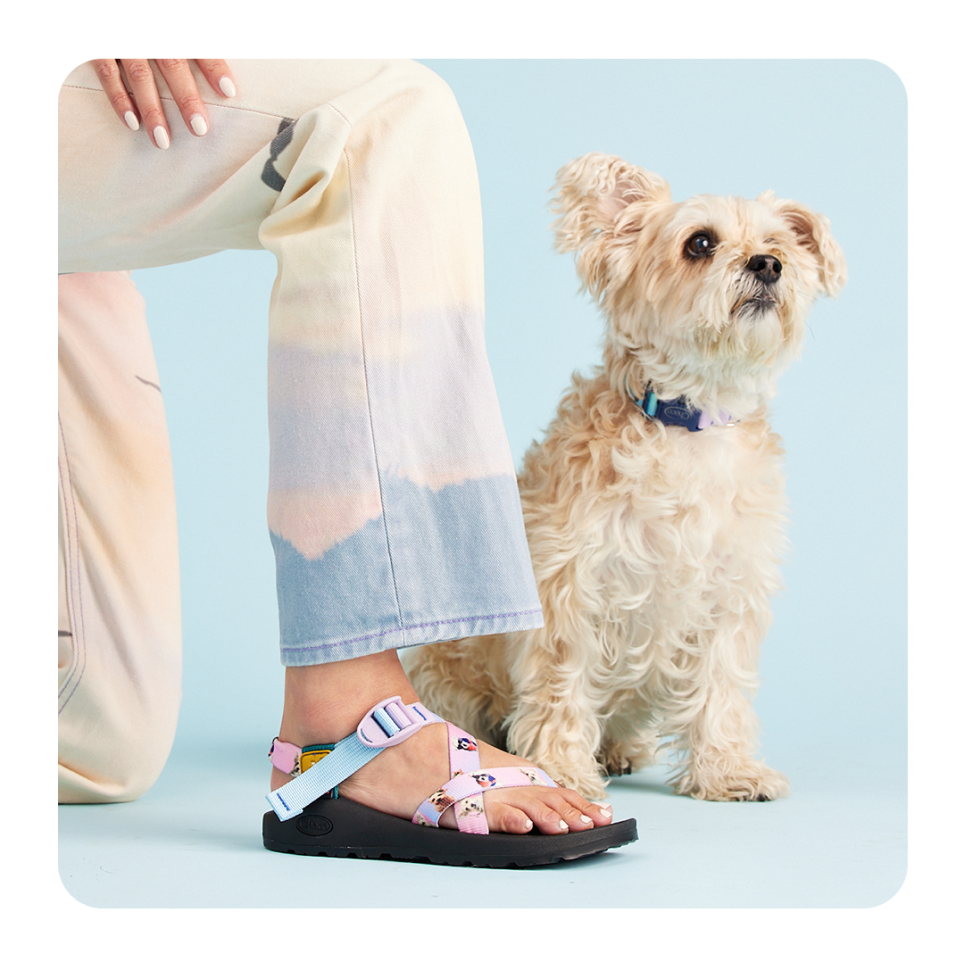 Dog with a custom collar next to a pair of Chacos.